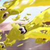 【日本語対応】Splatoon 3 (輸入版) - Nintendo Switch - 画像 (5)
