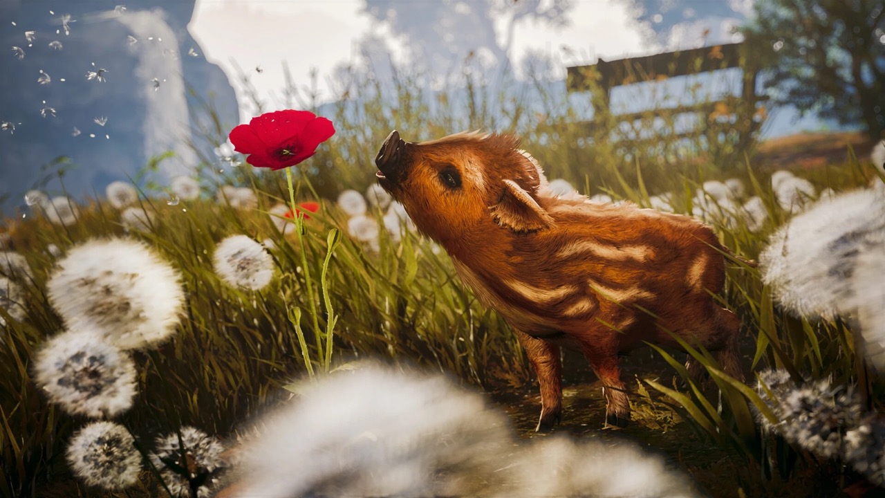 Adorable Adventures (輸入版) - PlayStation 5 - 画像 (2)
