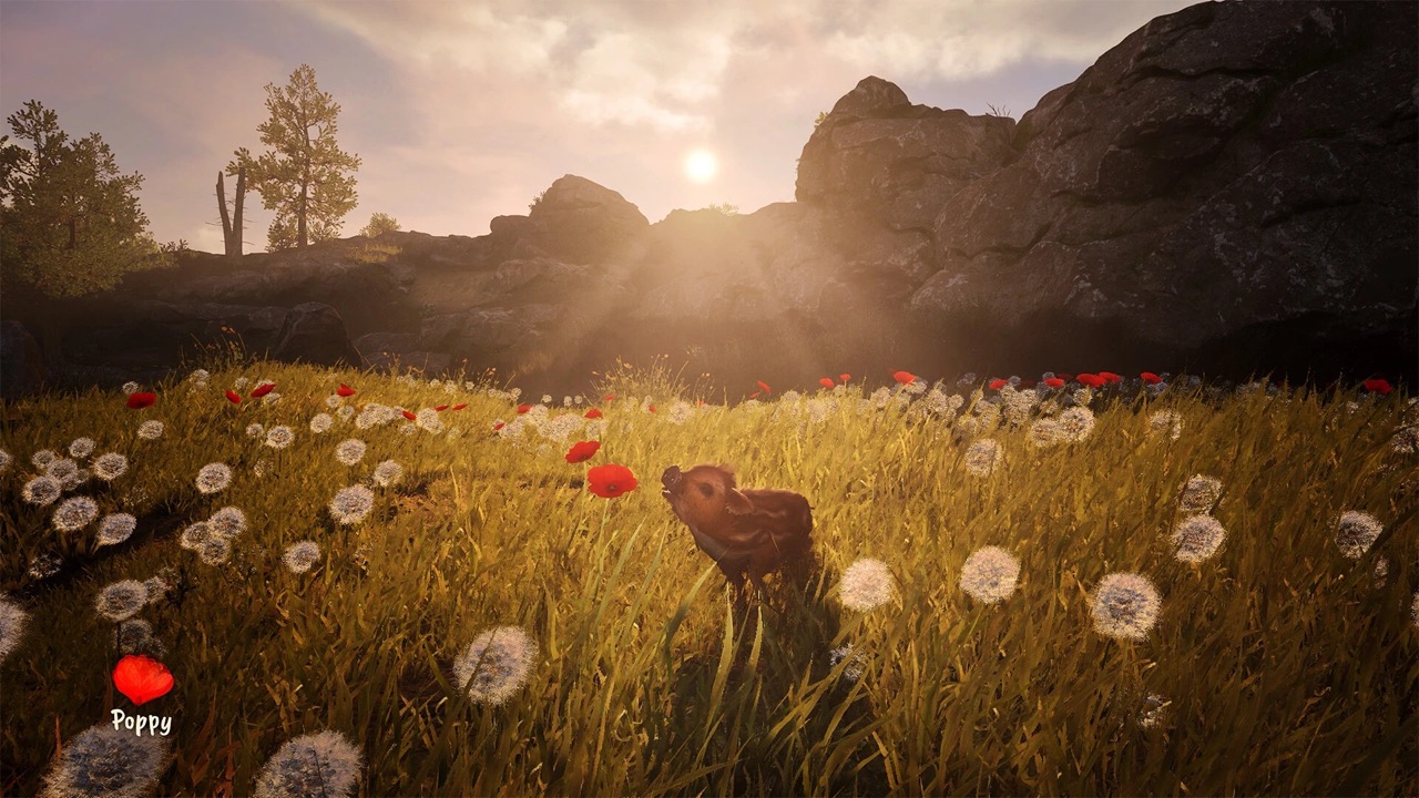 Adorable Adventures (輸入版) - PlayStation 5 - 画像 (7)