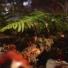 Empire of the Ants - Limited Edition (輸入版) - PS5 - 画像 (3)