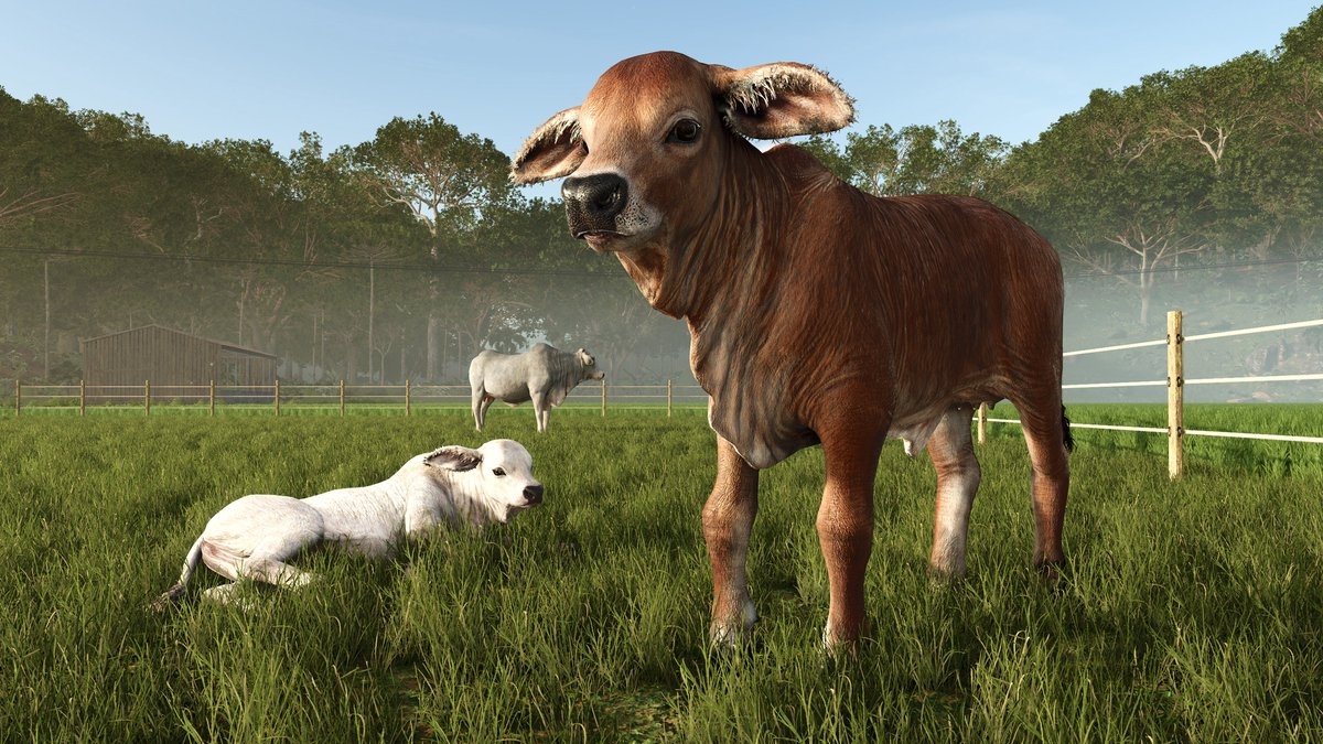 Farming Simulator 25 - Beans & Alpacas Edition (輸入版) - PlayStation 5 - 画像 (6)