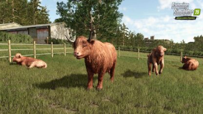 Farming Simulator 25 - Highlands Fishing Edition (輸入版) - Xbox Series X - 画像 (4)