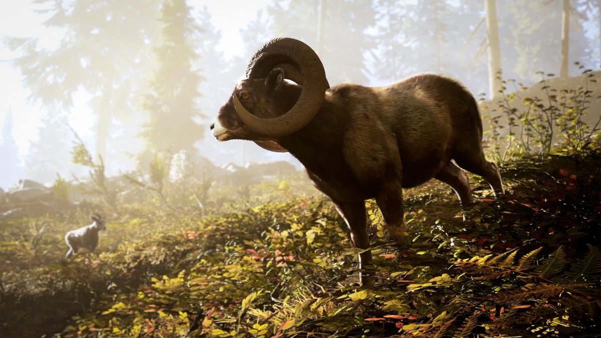 【日本語対応】Hunting Simulator 3 (輸入版) - PlayStation 5 - 画像 (4)