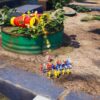 【日本語対応】Pikmin 4 (輸入版) - Nintendo Switch - 画像 (7)