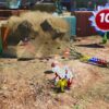 【日本語対応】Pikmin 4 (輸入版) - Nintendo Switch - 画像 (15)
