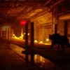 Stray (輸入版) - PS4 - 画像 (7)