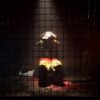 The Dark Pictures Anthology: The Devil in Me (輸入版) - PS5 - 画像 (5)