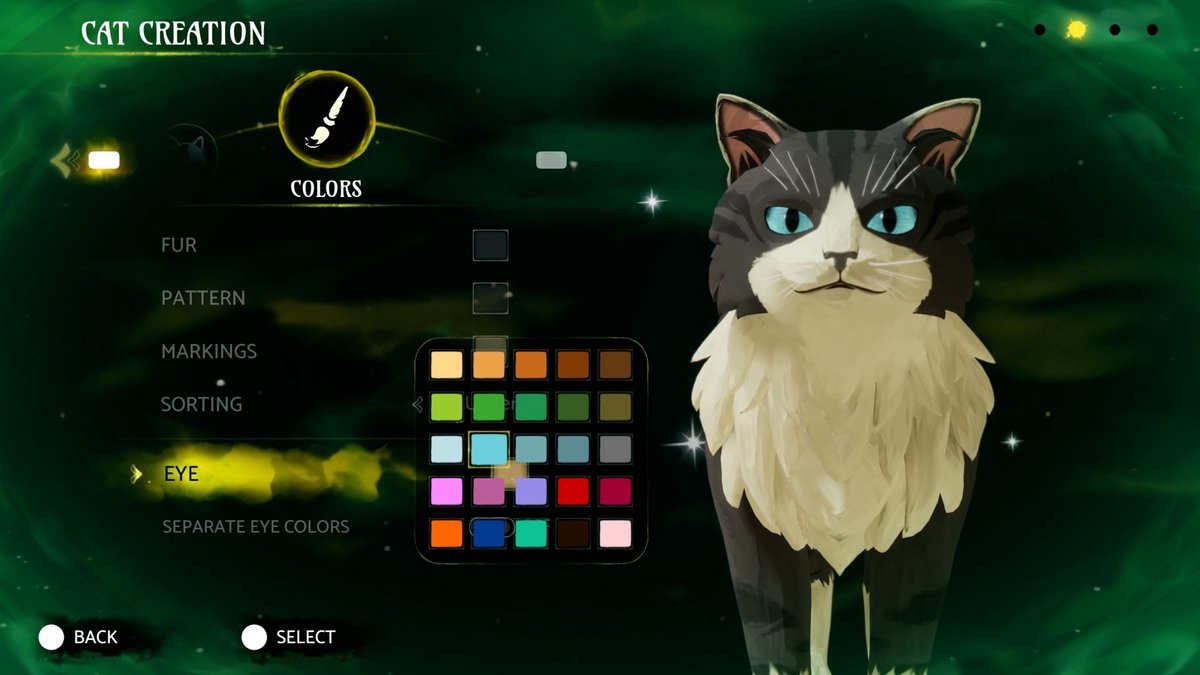 Warrior Cats: Clans of the Forest - Feral Edition (輸入版) - PlayStation 5 - 画像 (4)