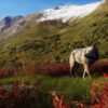 Way of the Hunter: Wild Expeditions (輸入版) - PS5 - 画像 (2)